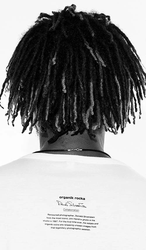 Hendrix #1 - Image 4