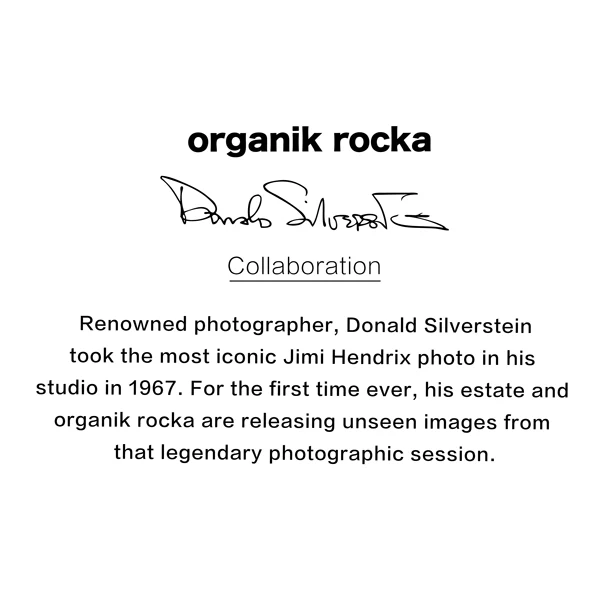 Hendrix #1 - Image 5
